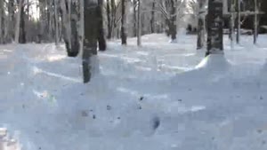 Quad Snowboarding Faceplant