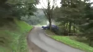 Rally car vs tree