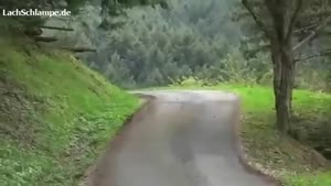 Rallycar Crash Into Tree