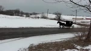 Amish Skiing