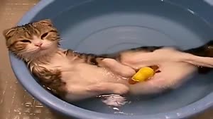 Wet Pussy