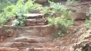 Painful Cliff Jump Fail