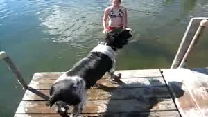Poor Dog Hates Water