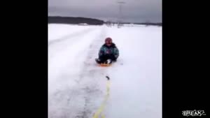 Dog Owns Girl Getting Towed On Sled