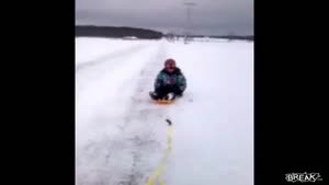 Dog Owns Girl Getting Towed On Sled