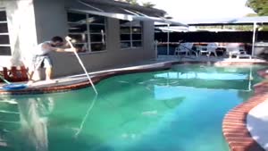 Jumping Over A Pool With A Pole