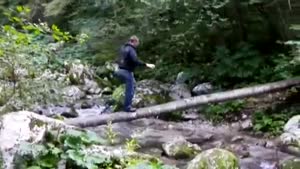 Trying To Cross The Creek Without Getting Wet