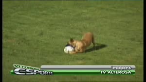 Police Dog Wants To Play