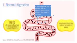 Diarrhoea & IBS | A Quick Guide with Dr Christian Jessen