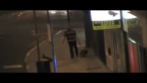 Dog Walks His Drunk Owner