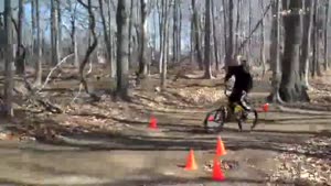 Boy On Bike Owned By Tree