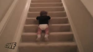 Baby Slides Down Stairs