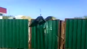 Climbing Over A Fence Fail