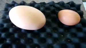 Giant Surprise Egg