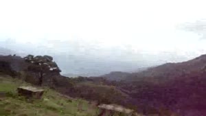 Amazing Nelliyampathy Hills Pakkad Karala South India