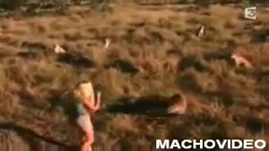 Woman Gets A Bit Too Close To Cheetahs