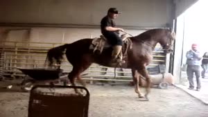 Awesome Dancing Horse