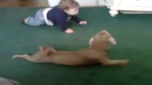 Baby And Dog Crawl Together