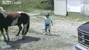 Little Brat Get's Kicked By Horse