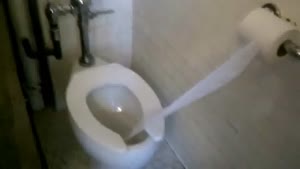 Toiletpaper Test