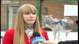 Donkey Farts During Interview