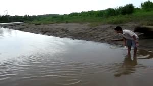 Feeding A Huge Crocodile