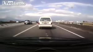 Dog Falls Out Of Car Window