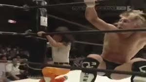 Japanese Wrestling