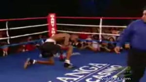 Boxing Compilation