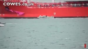 Supertanker Vs Sailboat