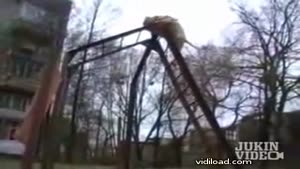 Parkour Dog