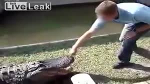 Alligator Snap