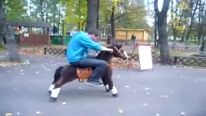 Horseback Riding The Different Way