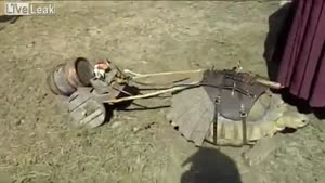 Turtle Pulls Trailer With A Barrel