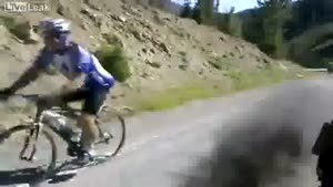 Cummins Diesel Vs Bicyclists