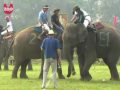 Elephant Polo Tournament