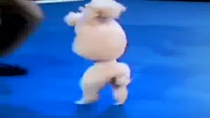 Poodle Backflips Like A Boss