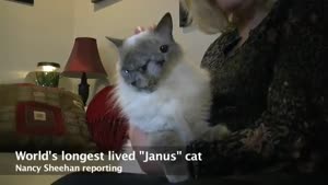 Two-Faced Cat Turns 12 Years Old