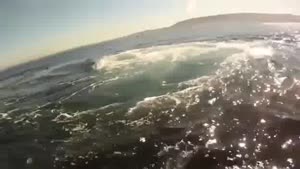 Lucky Kayaker Has Very Close Whale Encounter