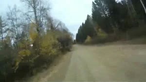 Smelly Crash