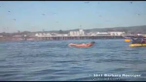 Surfer Almost Swallowed By A Whale