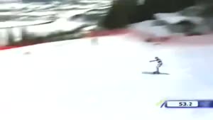 Skier And His Pole Nutshot