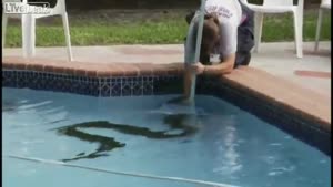 Giant Burmese Python Caught In Palmetto Bay Pool