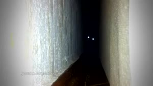 Scary Cat