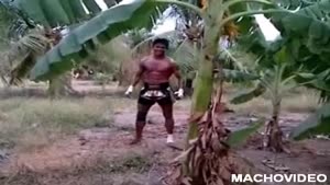 Muay Thai Kickboxer Chops Down Tree