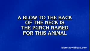 Guy Guesses 'Donkey Punch' On Jeopardy