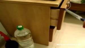 Kitty In The Drawer