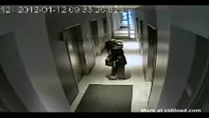 Dog Get's Stuck Between Elevator