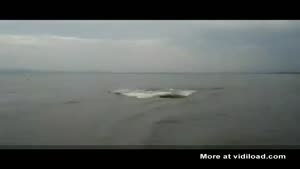 Hippo Chases Boat Full Of Tourists