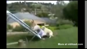 Horny Dog